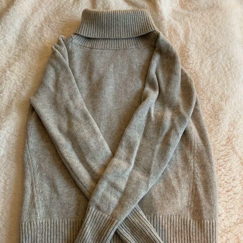 Aritiza Babton turtleneck sweater